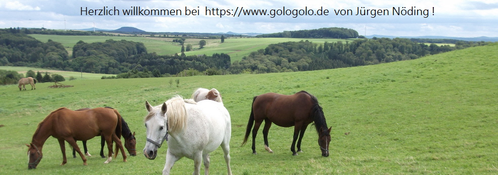 Ahrtal+Eifel - gologolo.de